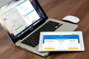 webite designer and web developer
